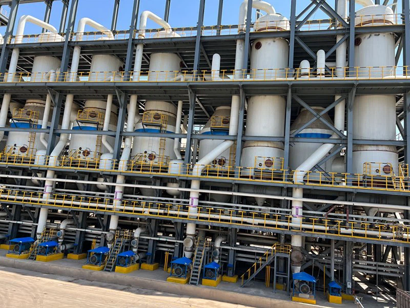 Multiple Effect Falling Film Evaporator